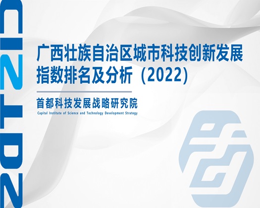 网址懂得都懂国产精品【成果发布】广西壮族自治区城市科技创新发展指数排名及分析（2022）